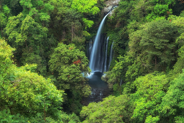 Tour Air Terjun Tiu Kelep