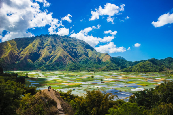 Wisata Pegunungan Sembalun