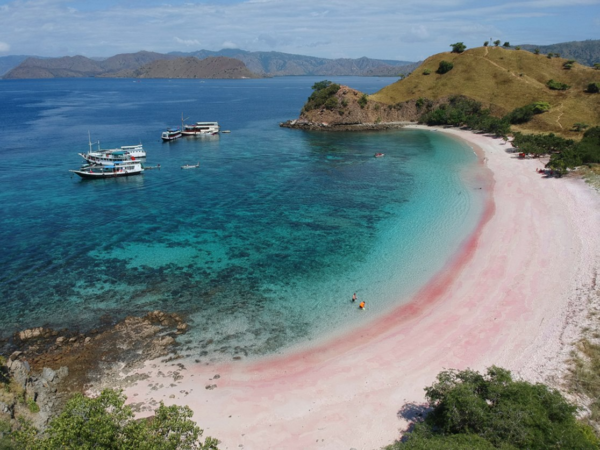 Tour Pantai Pink